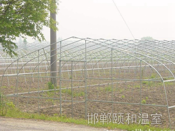 單體溫室 (2)